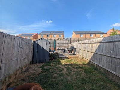 Picture 15